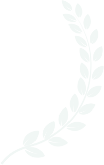 VLRS